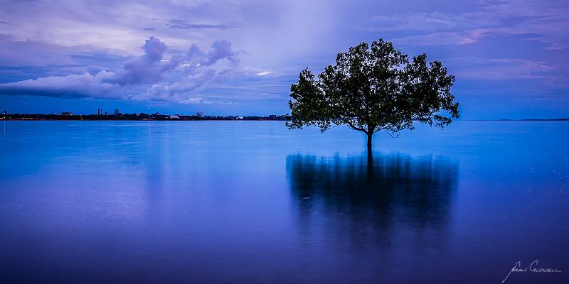 20121224-DSC_0147.jpg - Blue Reflections - Fannie Bay, Darwin